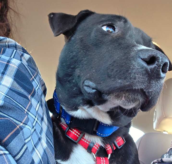 Photo of Claude Monet