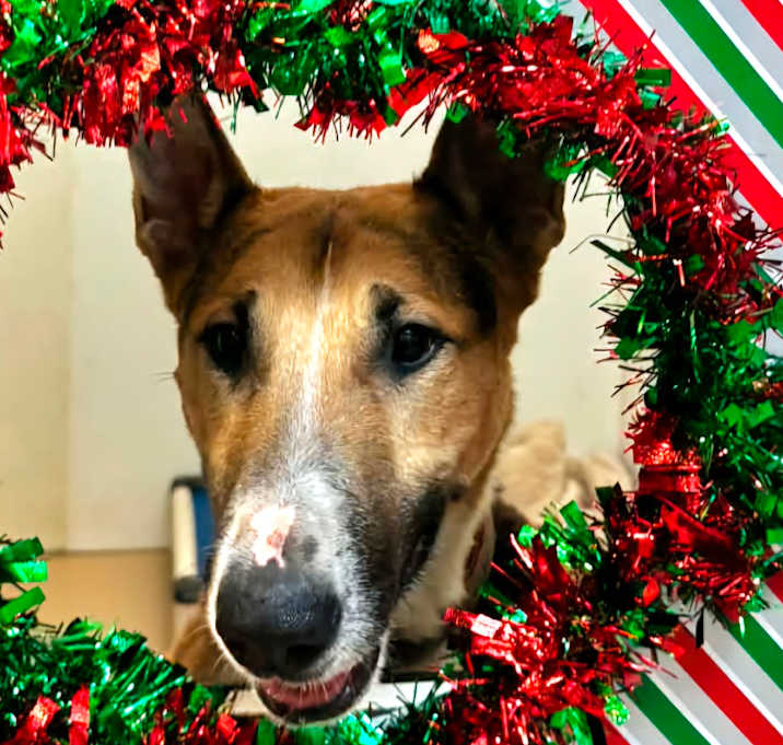 Photo of Barksdale (C000-502) - Chino Hills Location