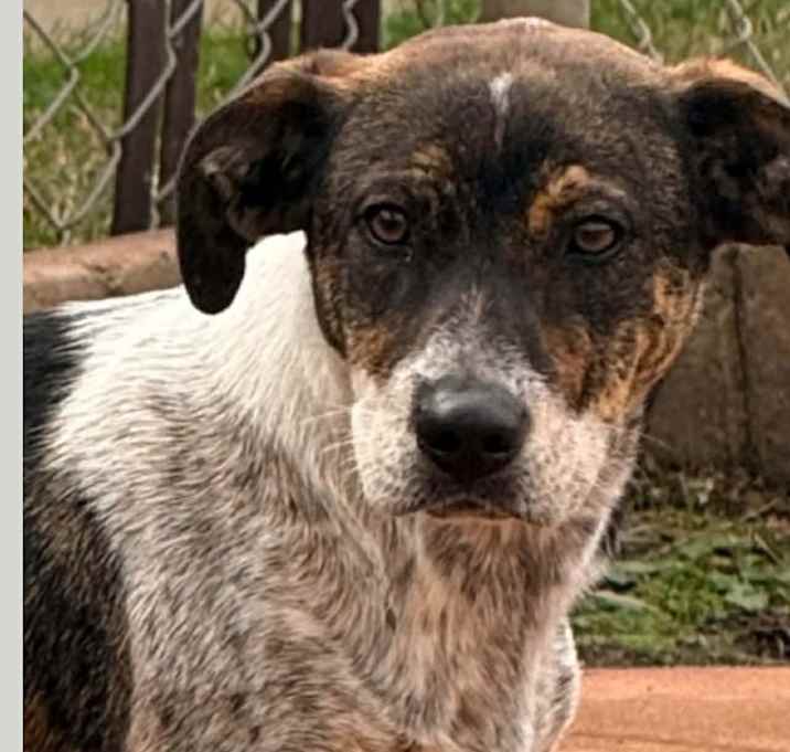 Photo of Daisy 🌼 c!