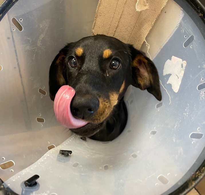 Photo of Scary Movie 