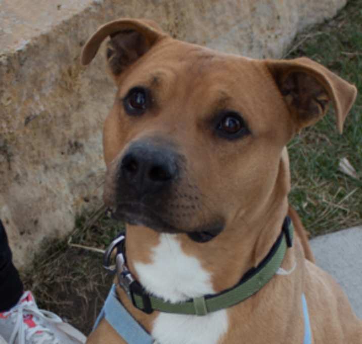 Photo of Nicolas Cage