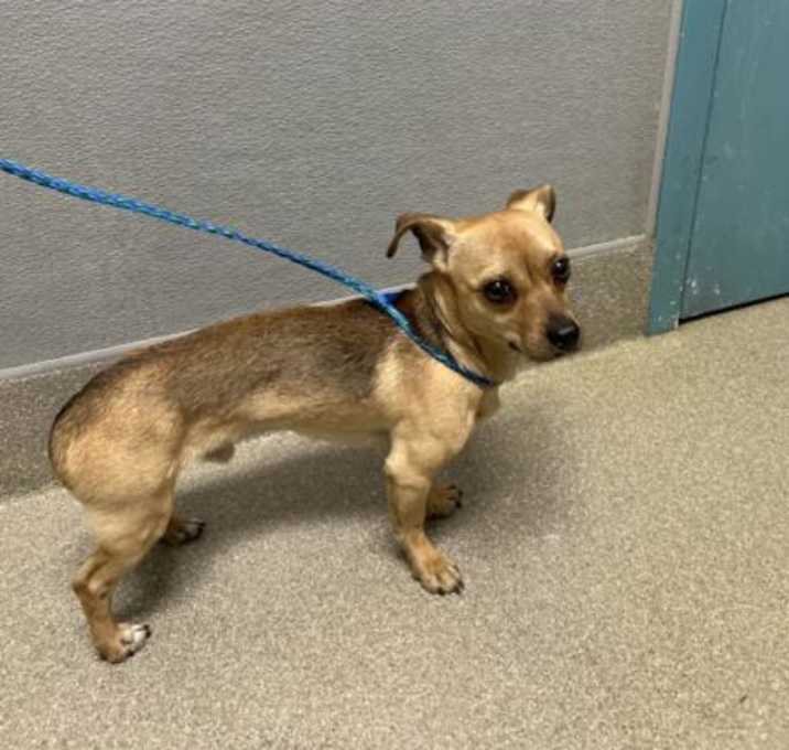 Photo of JOHNNY BRAVO