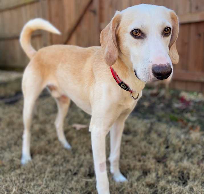 Photo of Wilbur Granville