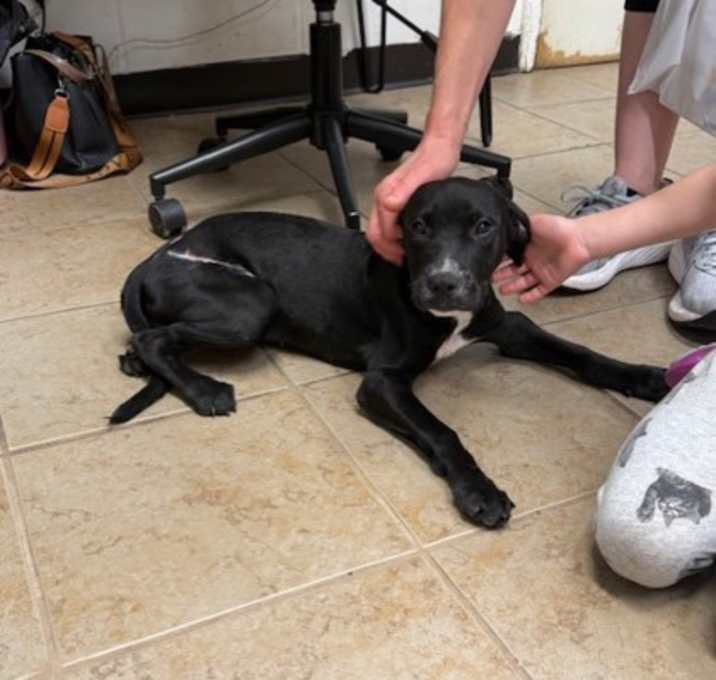 Photo of Cracker Barrel