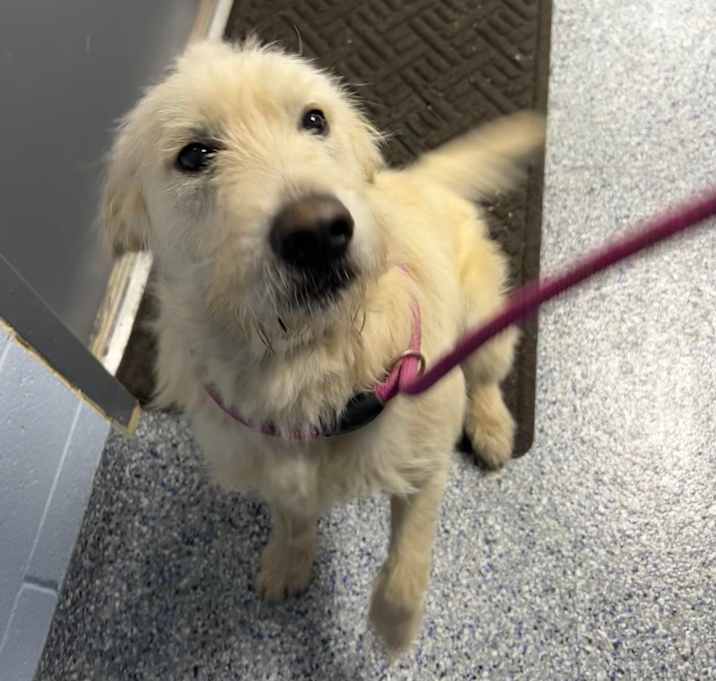 Photo of Belker 25-1798