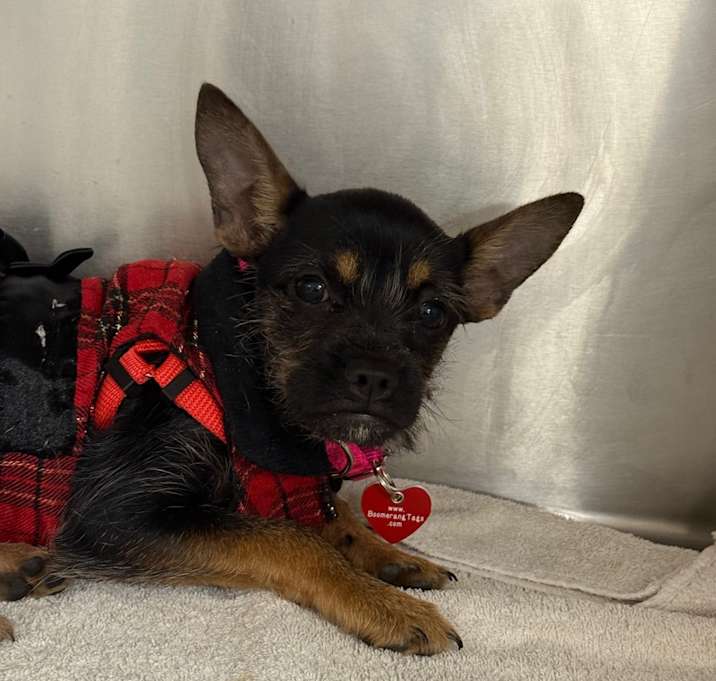 Photo of Christina A2246905