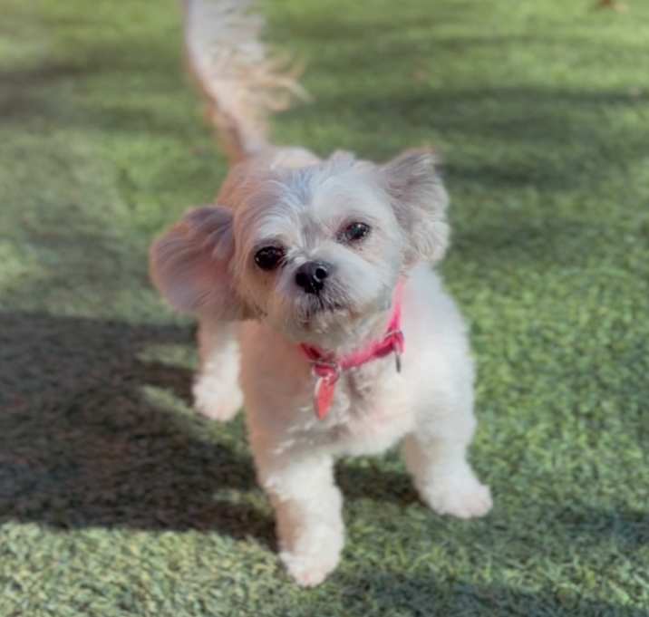 Photo of Liz A2247308