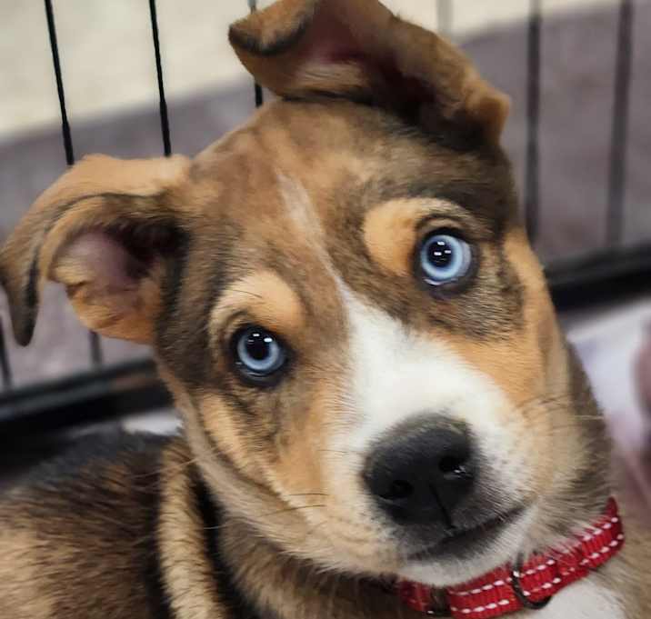 Photo of Bear Bear JuM