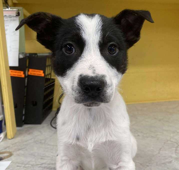 Photo of Slush Puppy