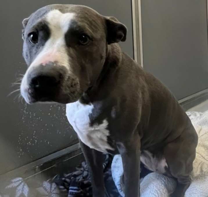 Photo of Bianca 1921-25