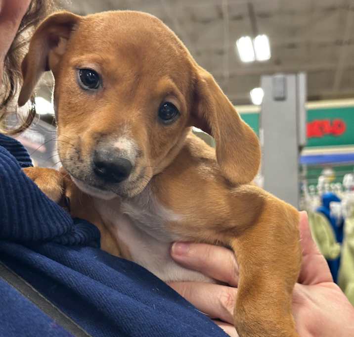 Photo of kristoff❄️