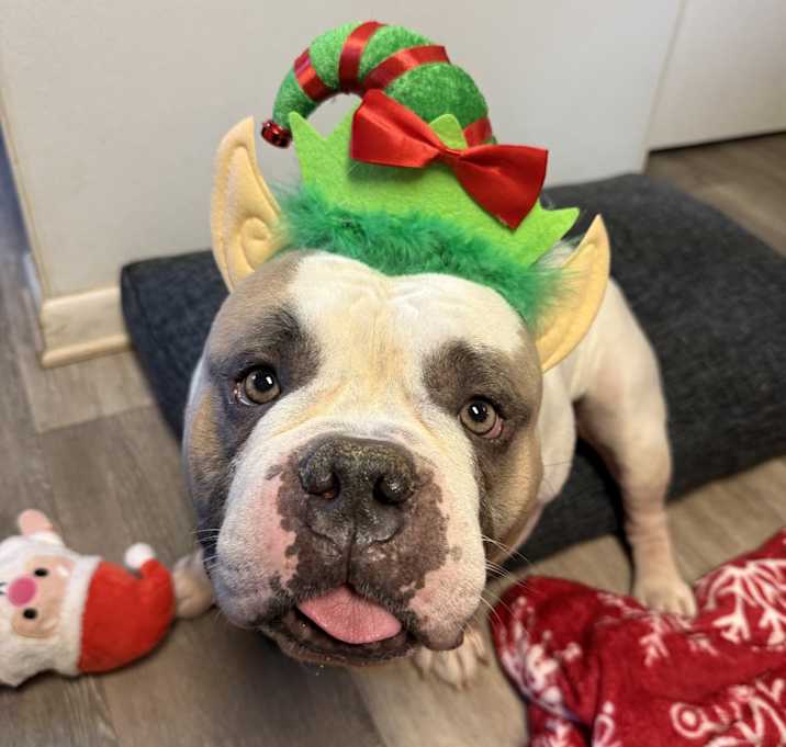 Photo of Chandler Bing 