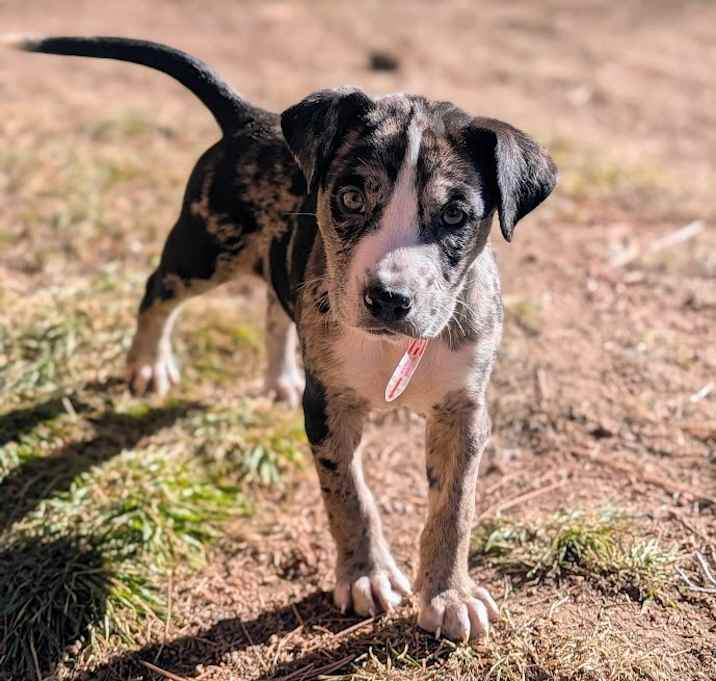 Photo of 899 (2025) Lainie