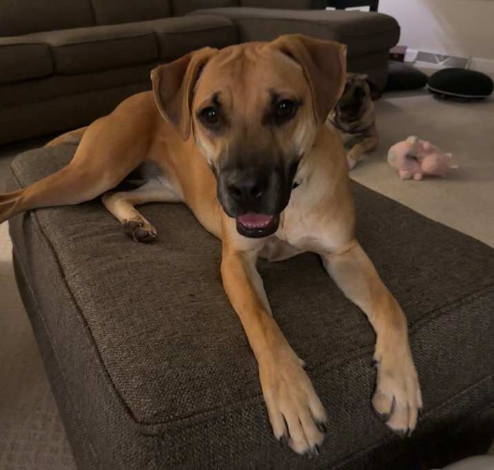 Photo of Georgia $450