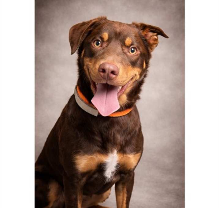 Photo of SNICKERS (ABS) HIDDEN GEM