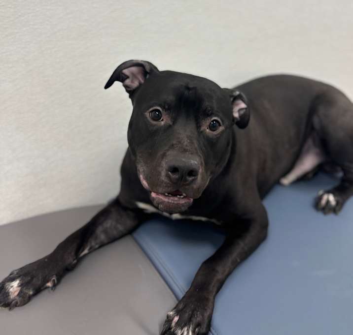 Photo of Iron (real name)