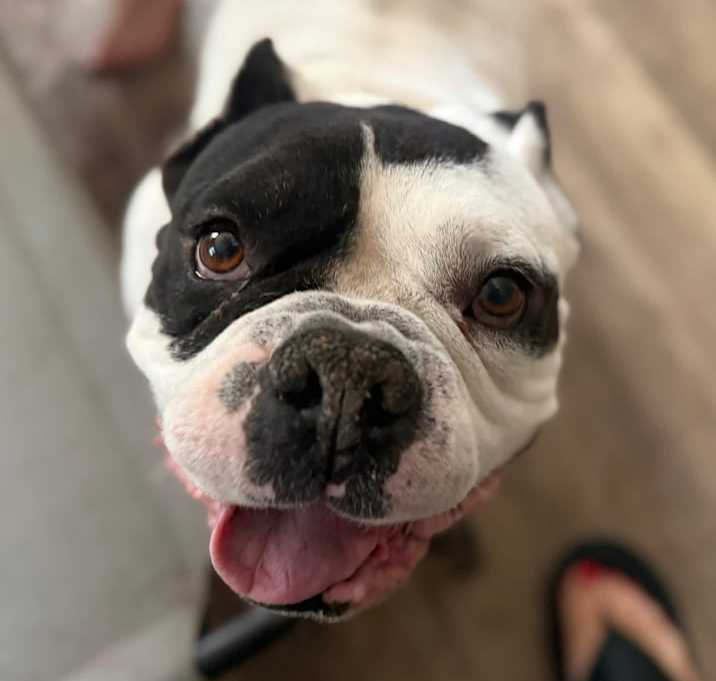 Photo of Jumba jumby