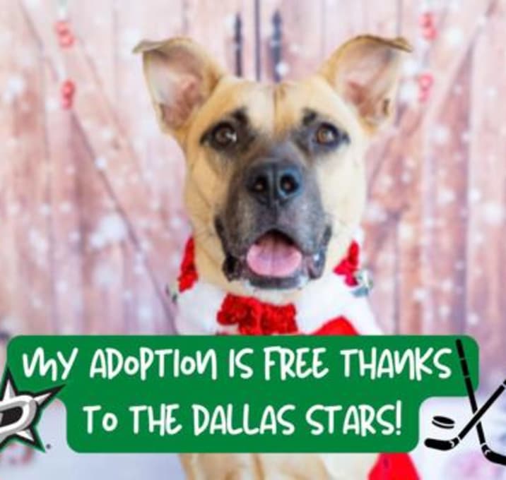 Photo of James Cagney