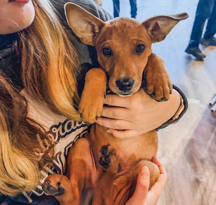 Photo of 893 (2025) Cole