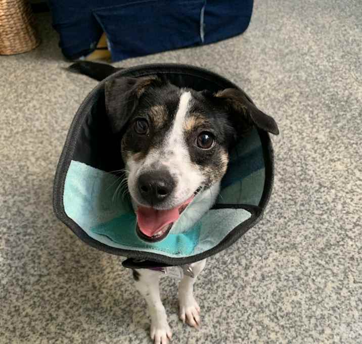 Photo of Noel Claire