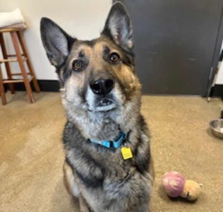 Photo of Declan VI 10