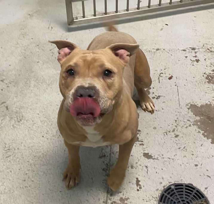 Photo of Sea Salted Caramel