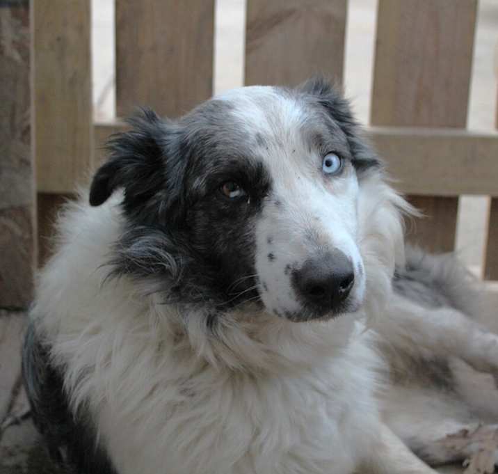 Photo of 1010 Urban (fka Chase)