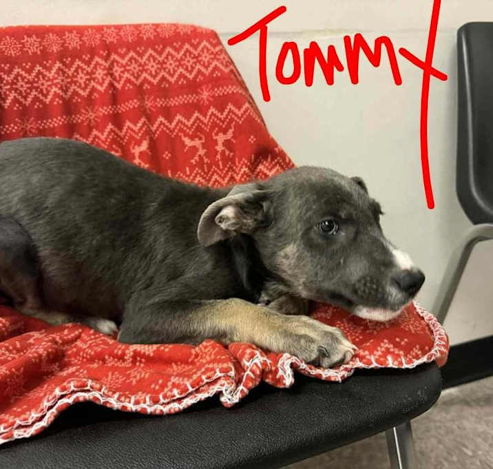 Photo of Rugrats- Tommy