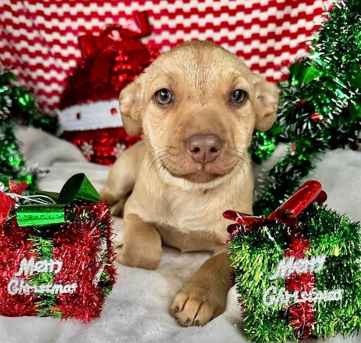 Photo of September Gentry