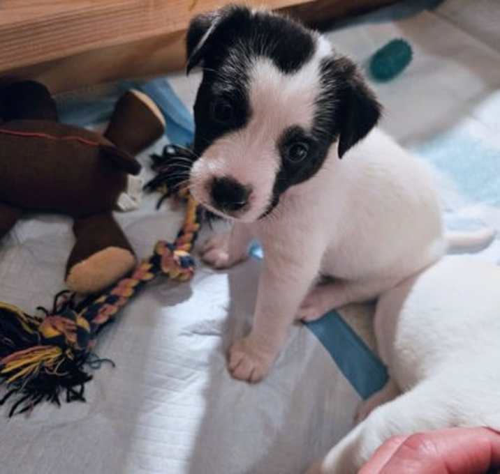 Photo of Anya's Yeti