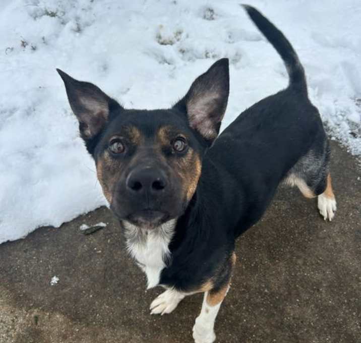 Photo of McCallister