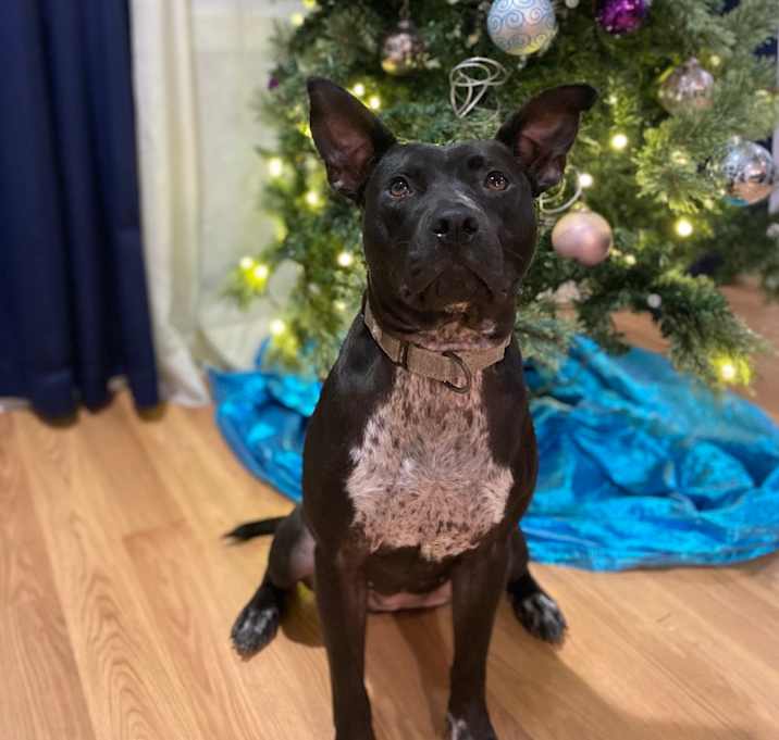 Photo of Matilda May