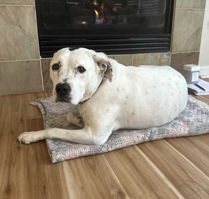 Photo of Febe and Draco