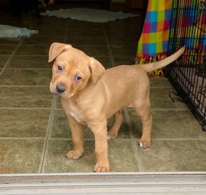 Photo of Timber D6133