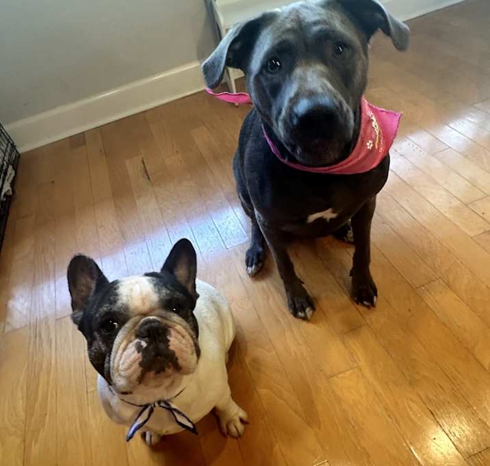 Photo of Nahla and Stitch