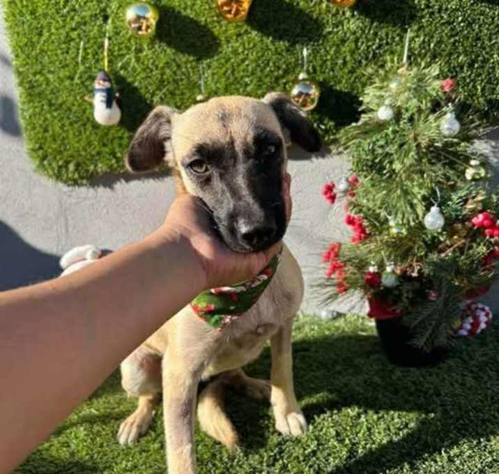 Photo of Mrs. Molly May