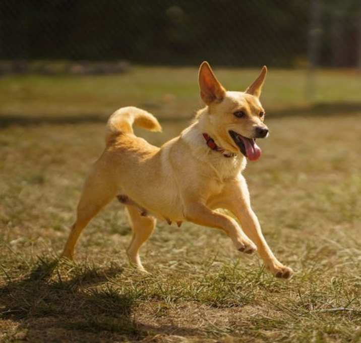 Photo of Beautiful Bonnie