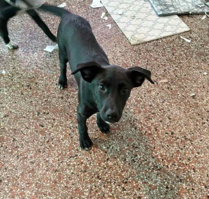 Photo of Lieutenant FH