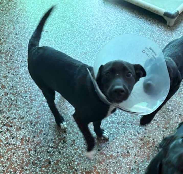 Photo of Brigadier FH