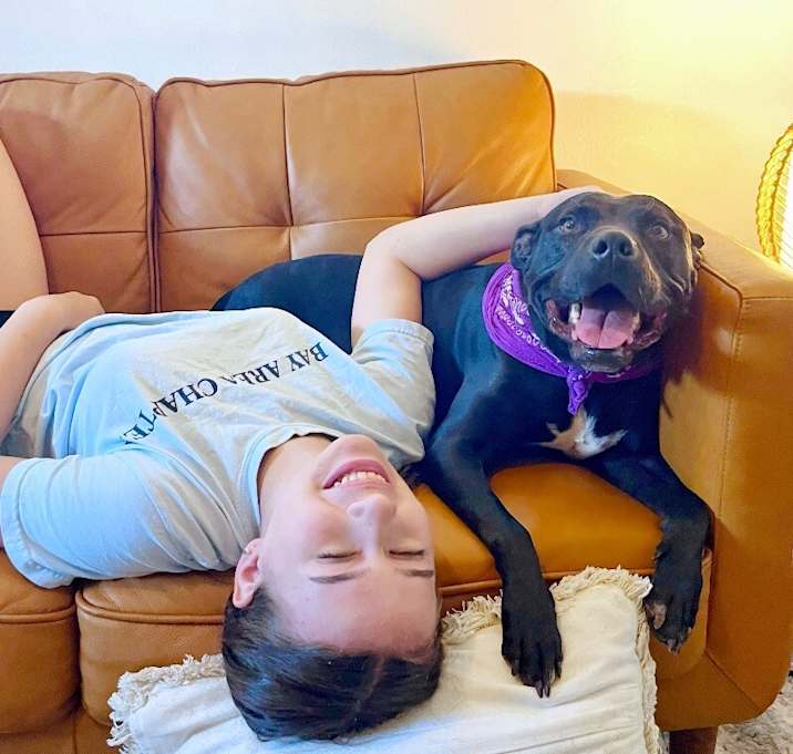 Photo of Polly Anna the Princess of lap snuggles and giggles