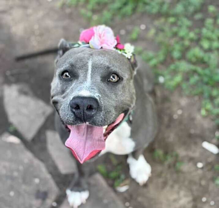 Photo of Maribella Made to love full of fun