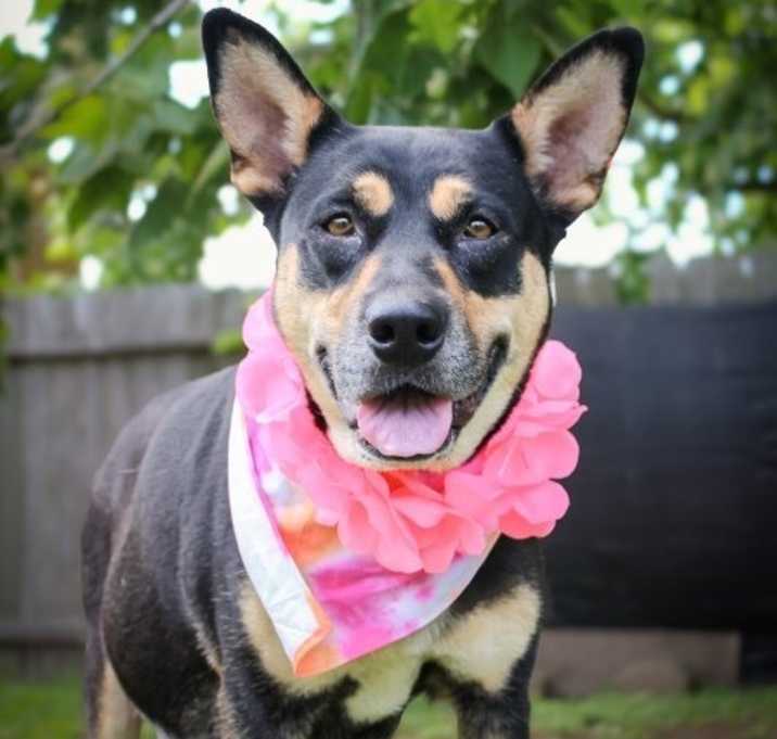 Photo of Clementine Cleveland