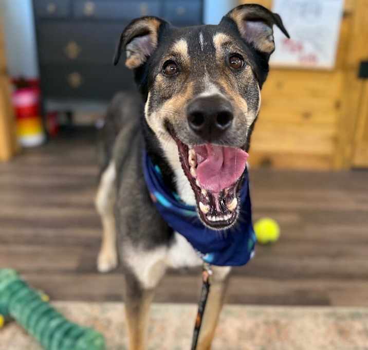 Photo of George says "empty nest? Not anymore!"