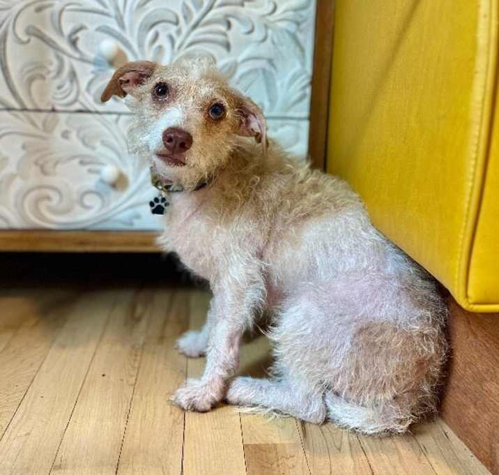 Photo of Oscar Mayer