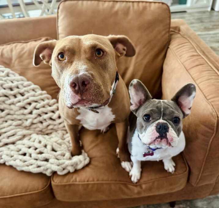 Photo of Blinky Baby loves the babies and belly rubs