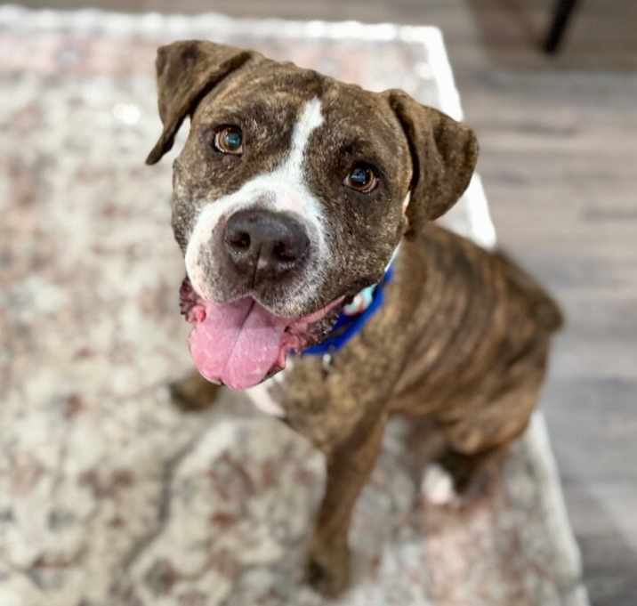 Photo of Ann Marie Wiggle Butt Wonderful