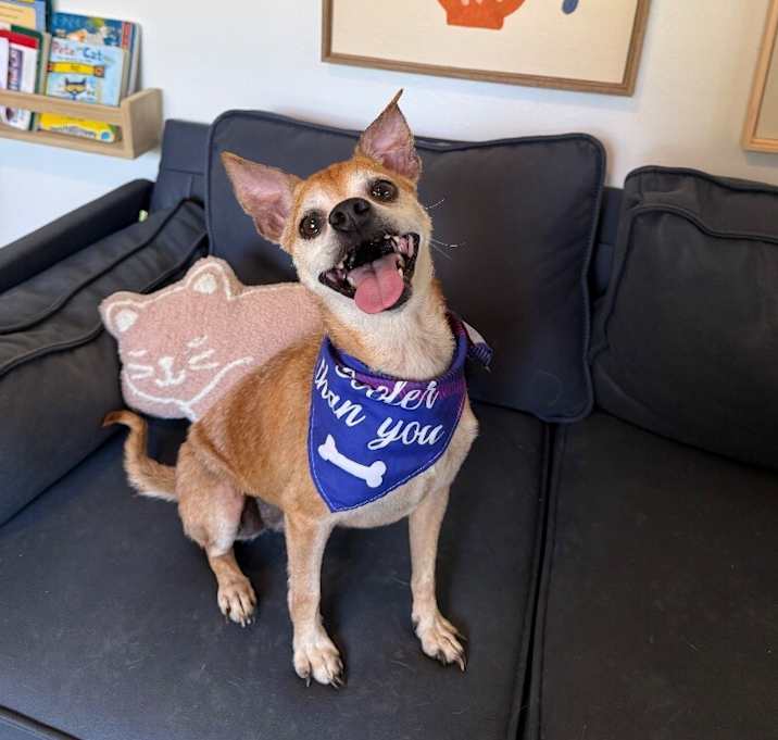 Photo of Patrick Swayze