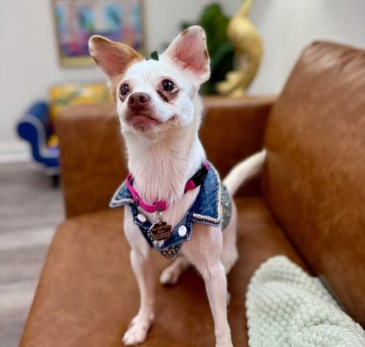Photo of Annie Oakley