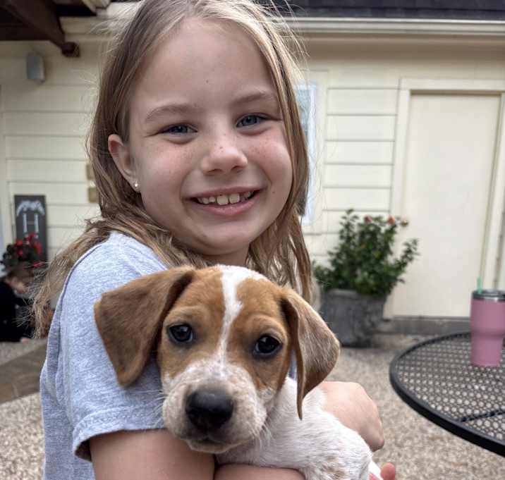 Photo of Cosmo Park Avenue