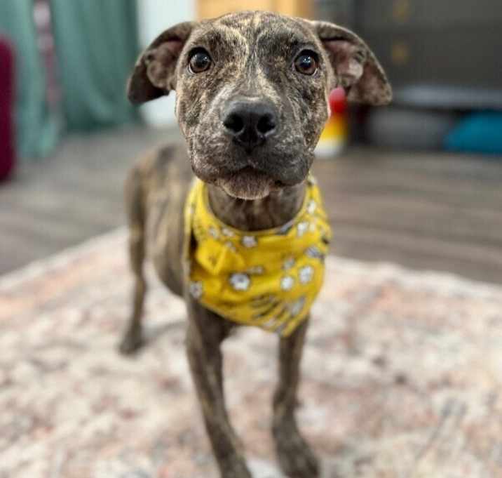 Photo of Elizabeth Santa Fe